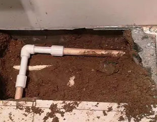 北海测漏水哪家好